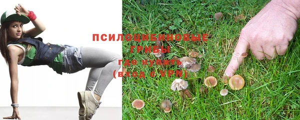 прущие крисы Алексеевка