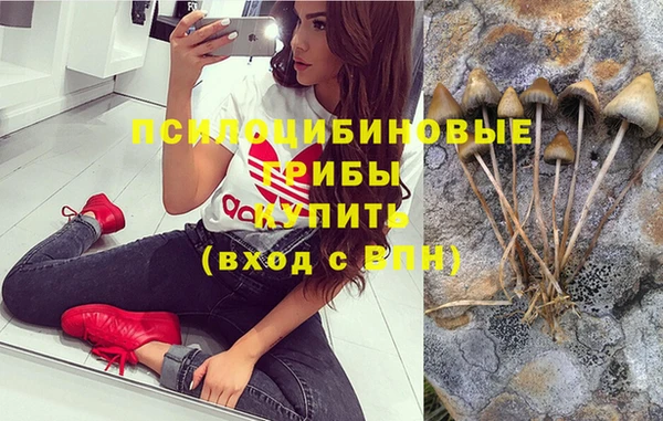 а пвп мука Алексин